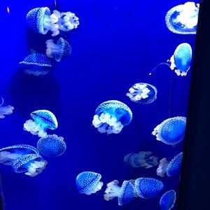 Meet your Posher, Tim